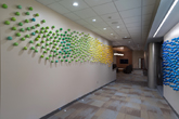 Rex Hospital Art Commission - Wall Installation